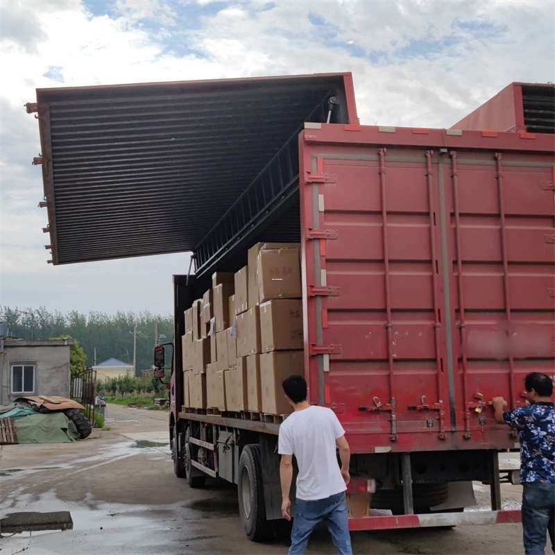 龙亭区扎囊县：物流专线的高效货运之旅